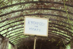 Thodoris_Gonis_Ethnikos_Kipos_2018_Press_16_photo_Kiki_Pap.jpg